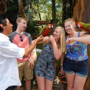 Meet your Posher, Lindsey